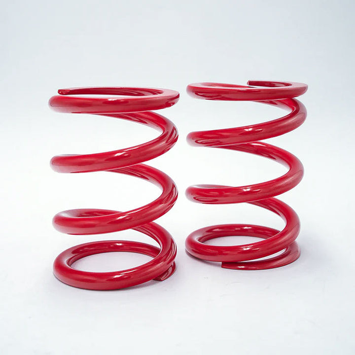 Suspension Secrets GT4 RS front and rear springs