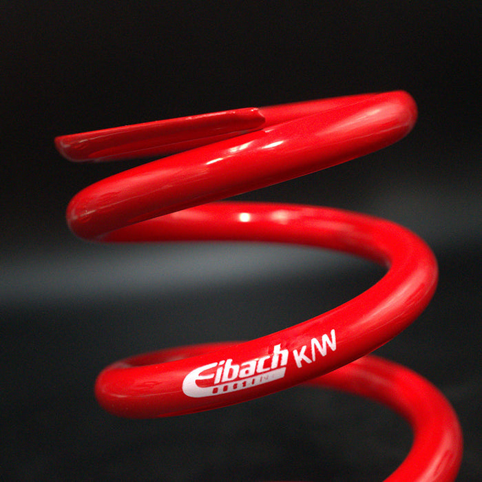 Suspension Secrets GT4 RS spring package detail