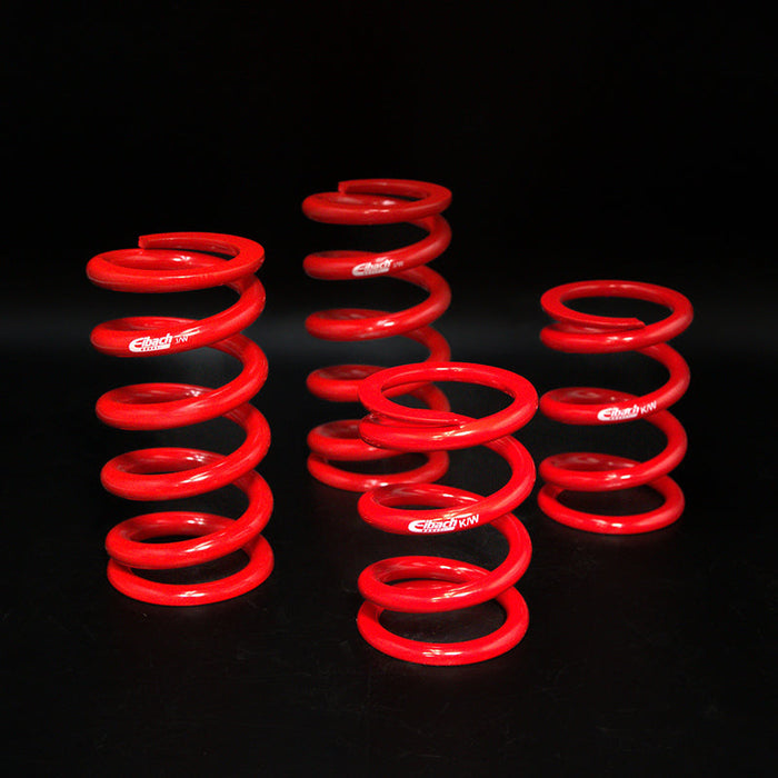 Eibach springs from the Suspension Secrets GT4 RS kinematics kit